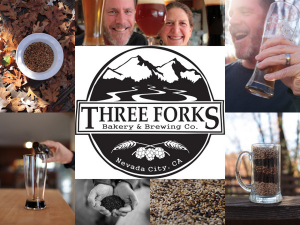 Three Forks collage1.jpg