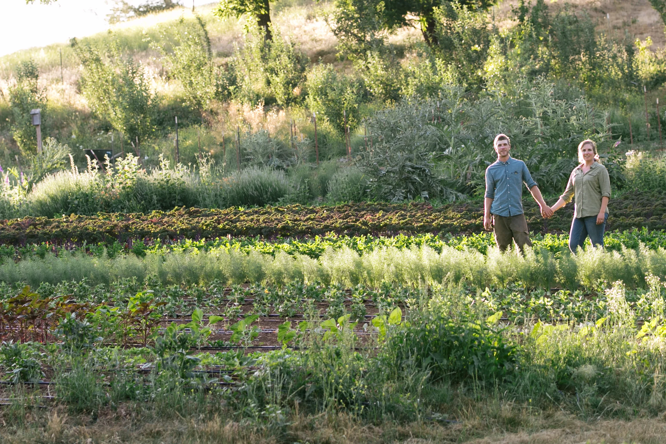 Sweet Roots Farm