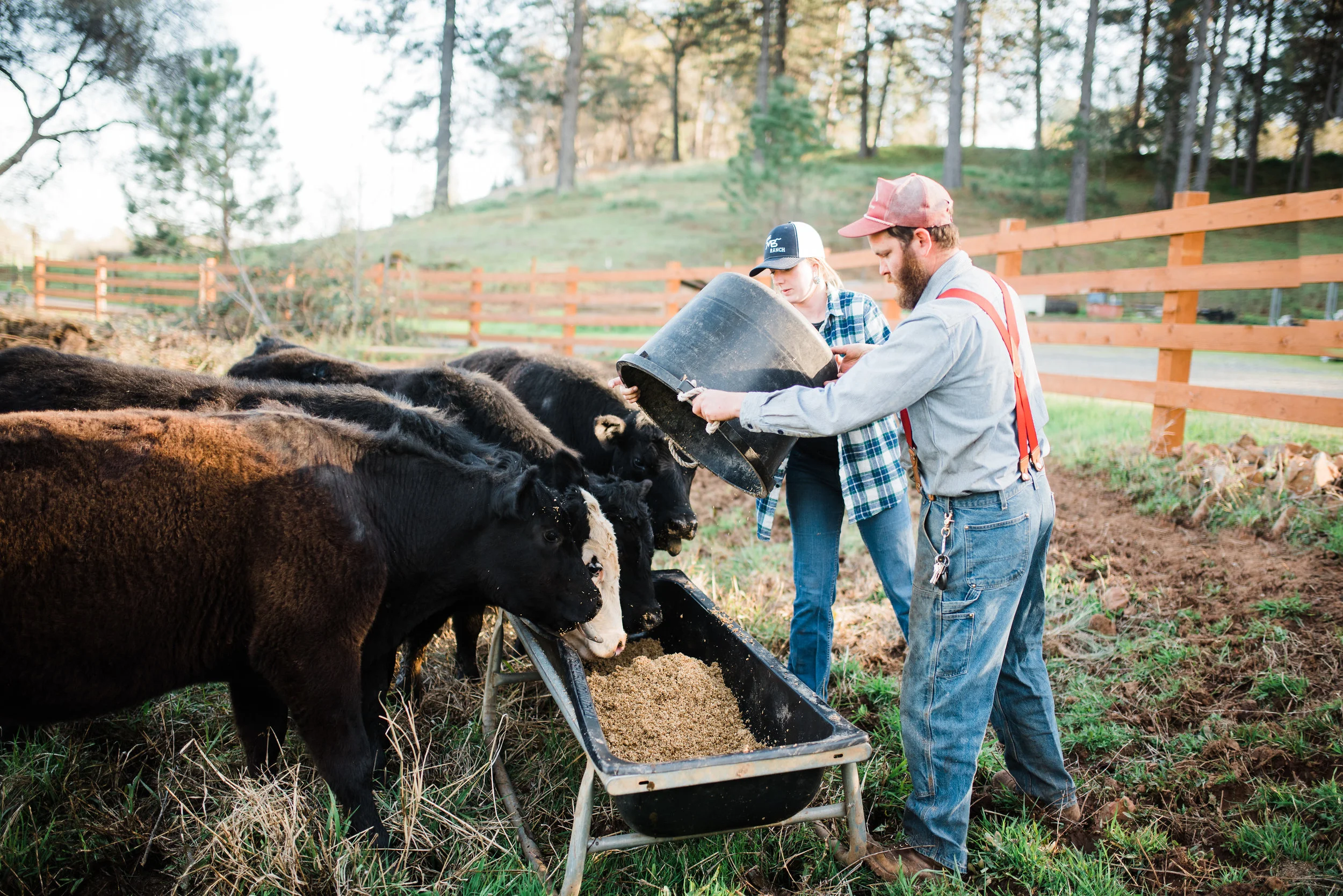 AM Ranch Photo: Angela Nunnick