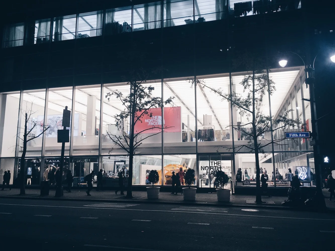 THE NORTH FACE 5TH AVE