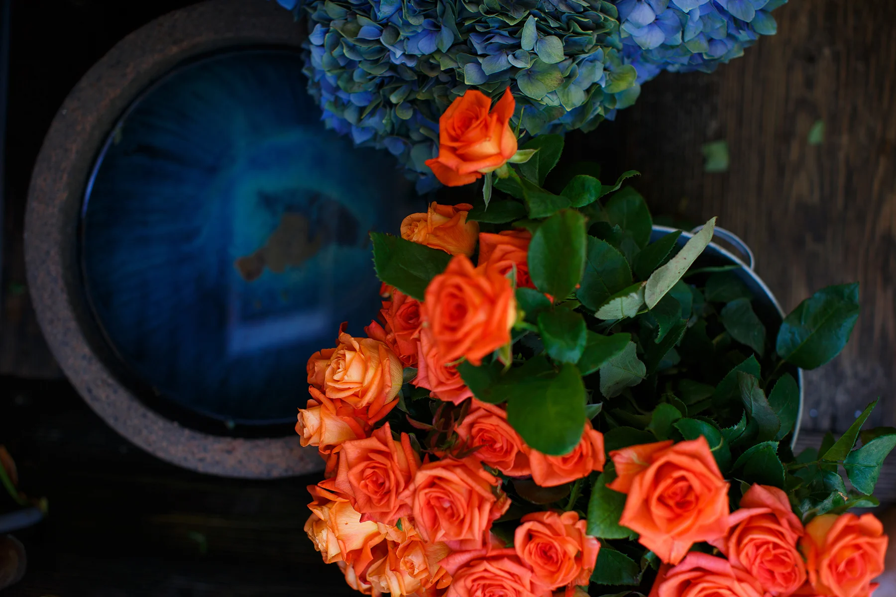 (C)PHOTOBYTIMPASCOE0130.jpg