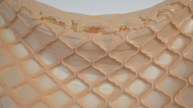 The Skin of 1000 Lovers