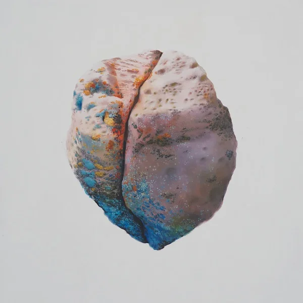Echolalia