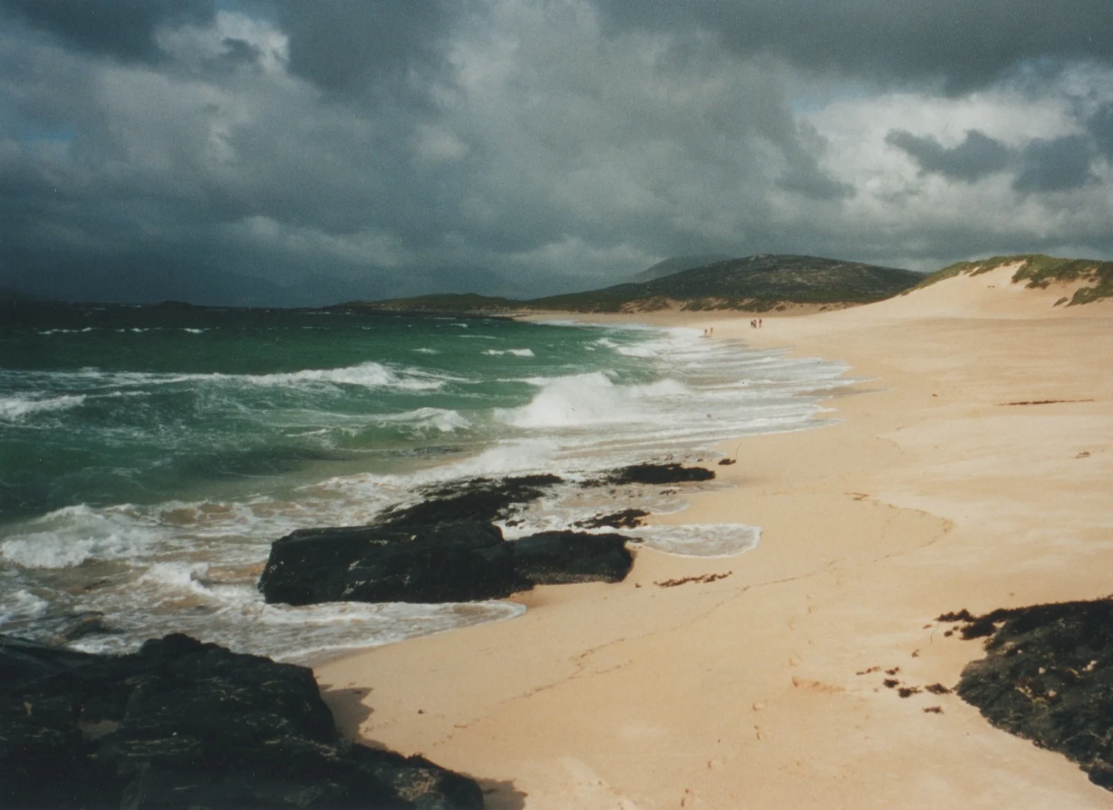 Gorgeous photo of harris .jpeg
