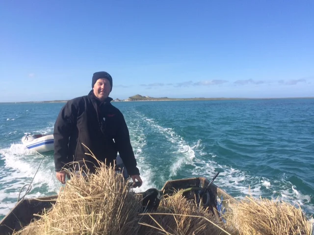 Neil Nicholson with some of the final marram grass needed for our thatched roof