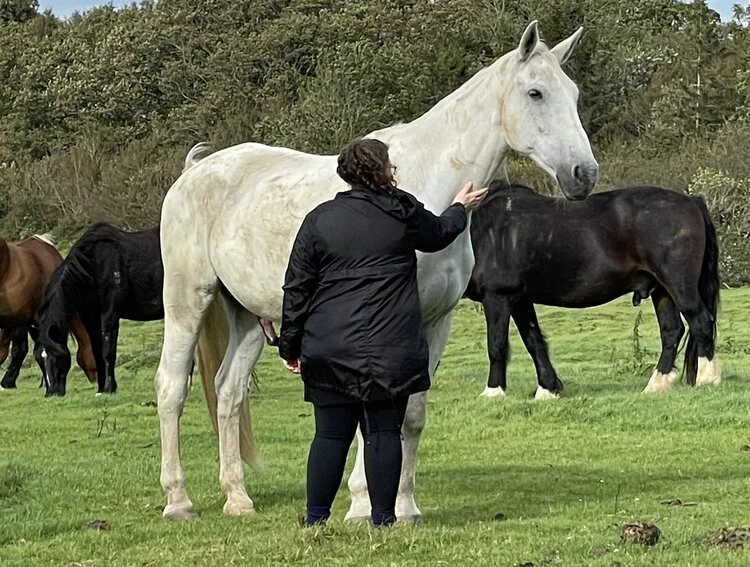 Yoga and Healing with Horses