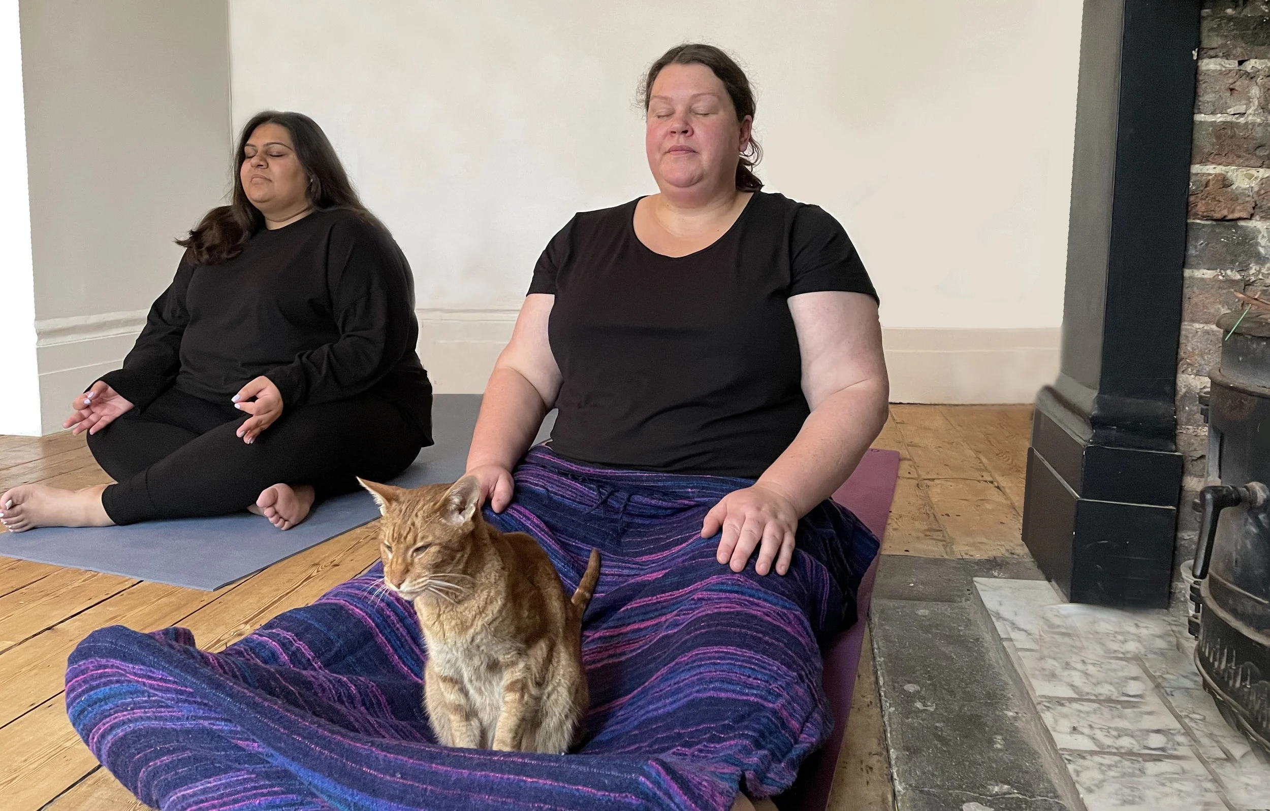 Tuesday Evening Fat Positive Yoga - Zoom  