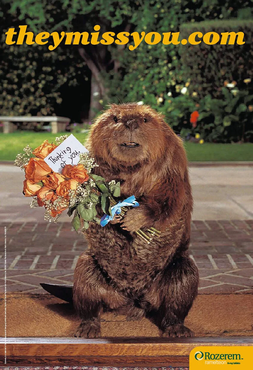 Beaver w-flowers.jpeg