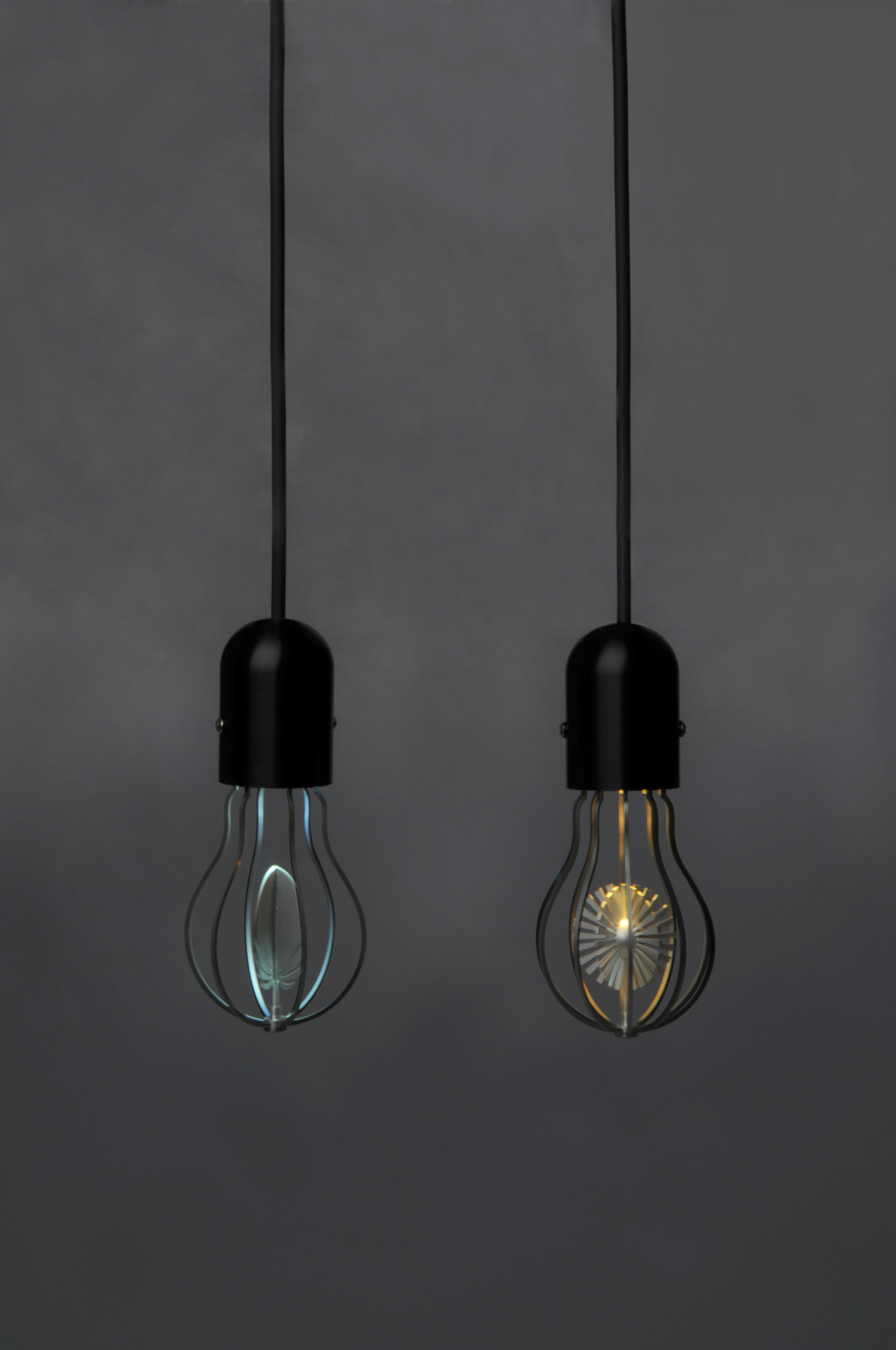 Sun and Feather Bulbs