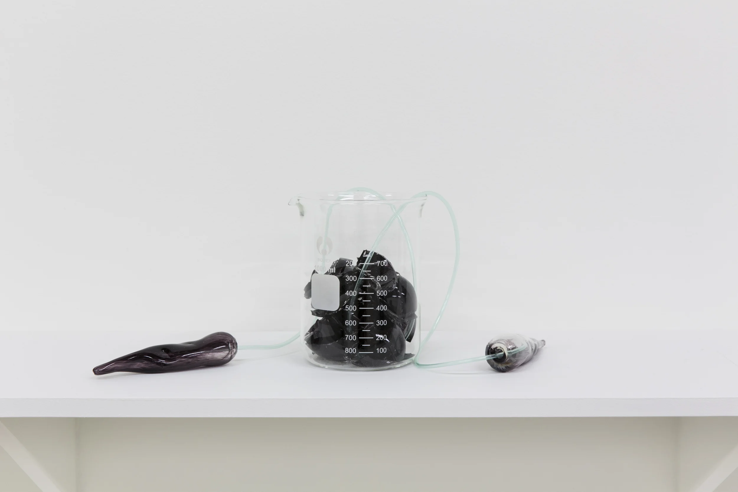 Yhonnie Scarce, Weak in Colour But Strong in Blood , 2014, detail, blown glass and found components, dimensions variable. Commissioned for the 2014 Biennale of Sydney and installed at the Art Gallery of New South Wales, courtesy the artist and dianne tanzer gallery + projects. Photography by Janelle Low.