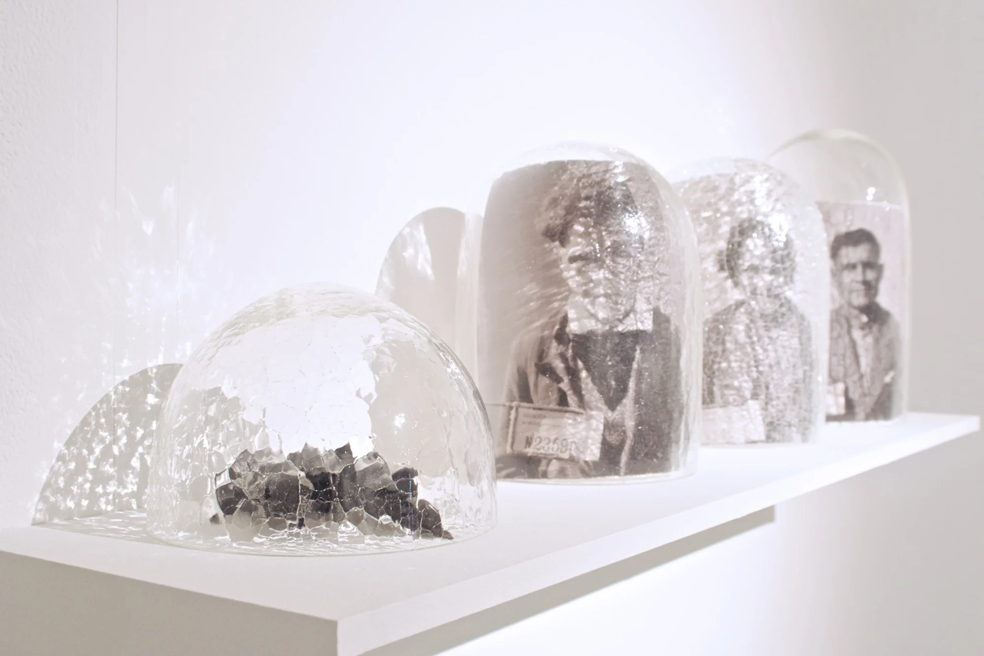 In 2013 Yhonnie Scarce was invited to submit work for the biennial National Artists’ Self-Portrait Prize, overseen by the University of Queensland Art Museum. Glass domes, family photographs from the Tindale Collection. Photography by Alex Lofty.