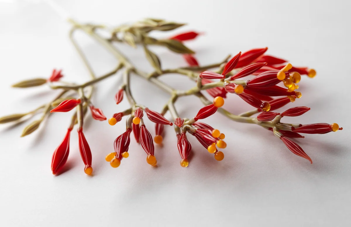 Conceptual Flowering Plant Series,