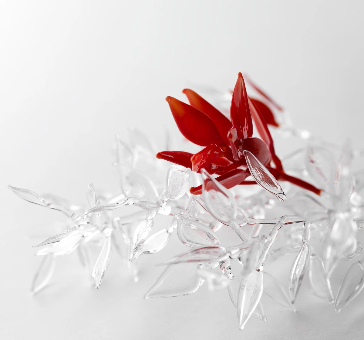 Conceptual Flowering Plant Series,