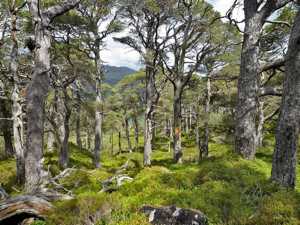 Typical terrain