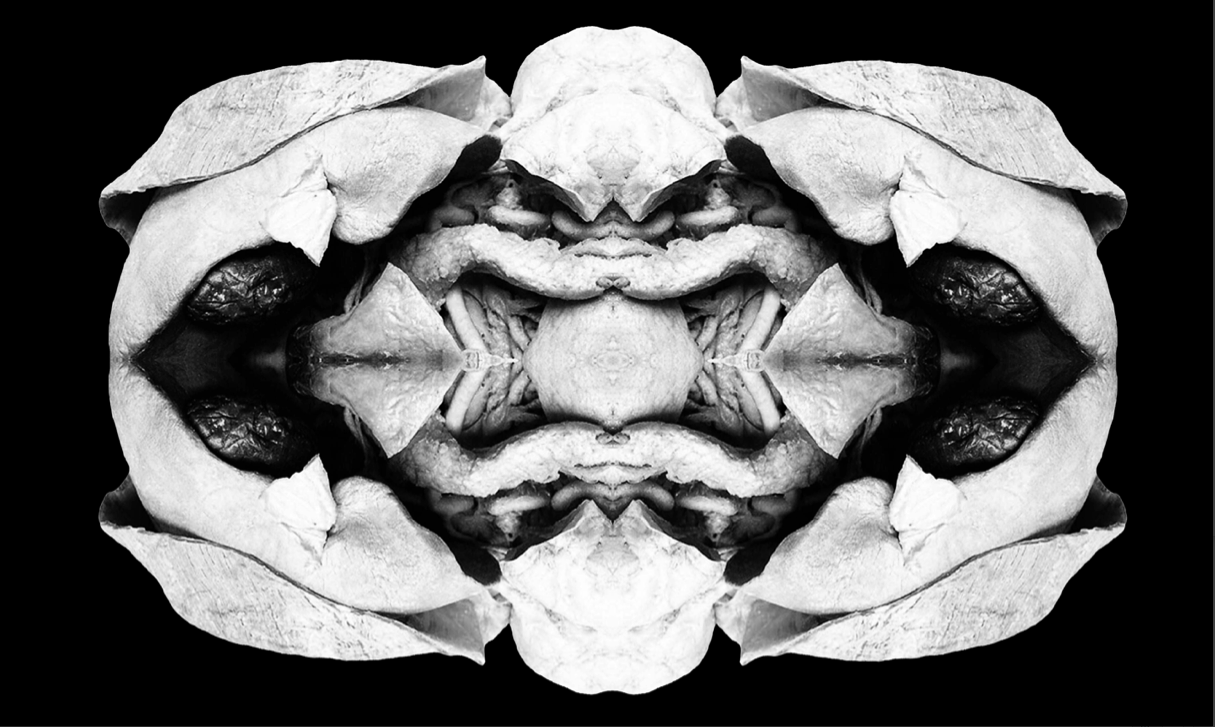Bildschirmfoto 2013-12-02 um 15.03.01.png