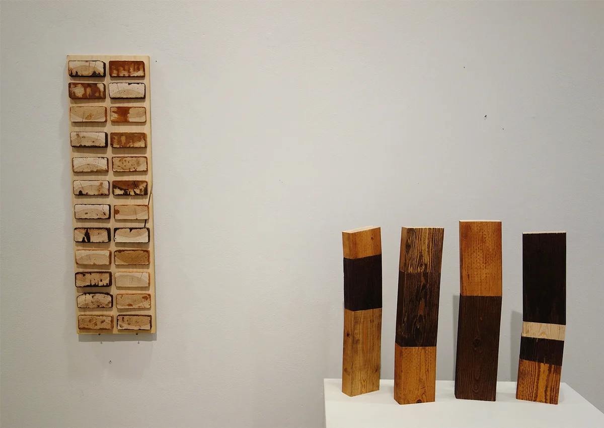 Erin Butcher, 2013