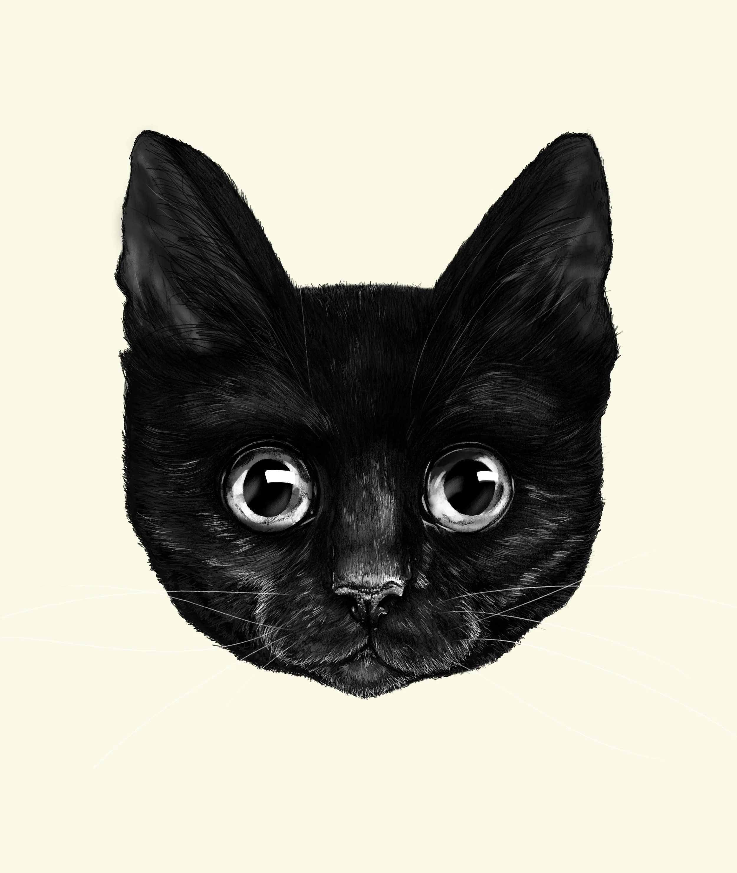 kattansikte.jpg