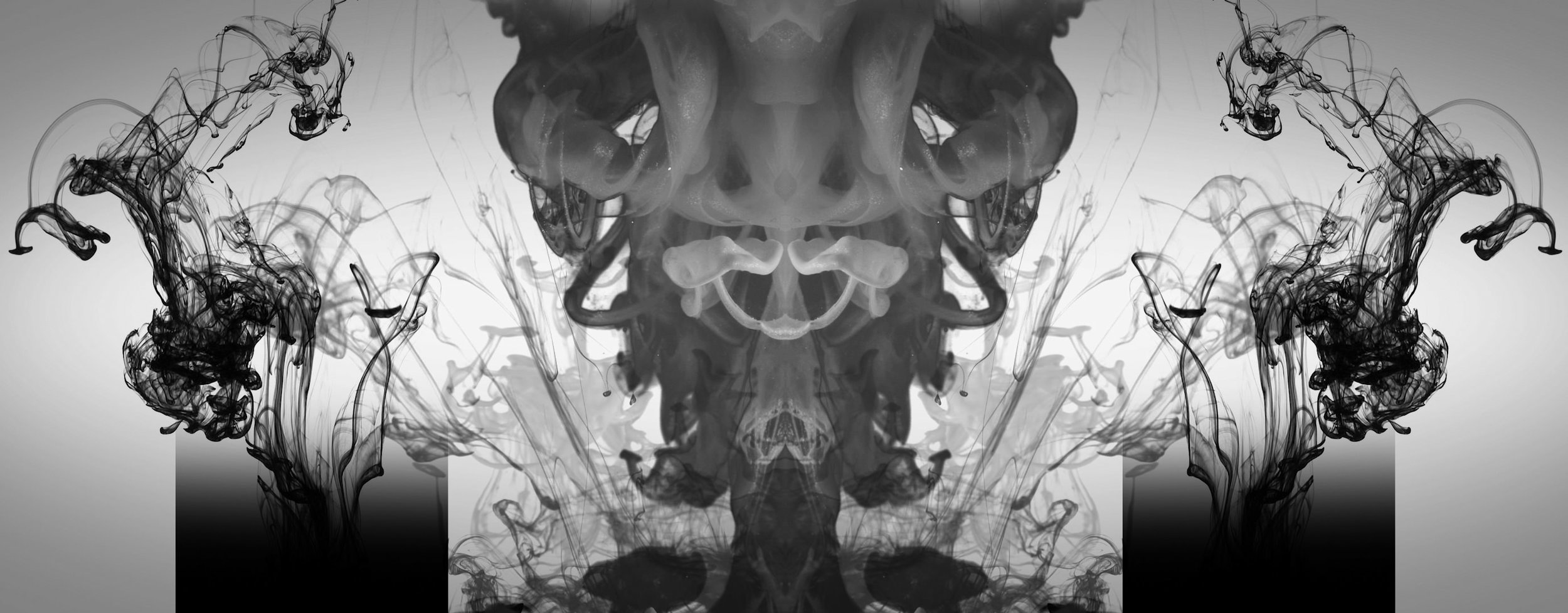 TX8_H&E_REIMAGINED_1.jpg