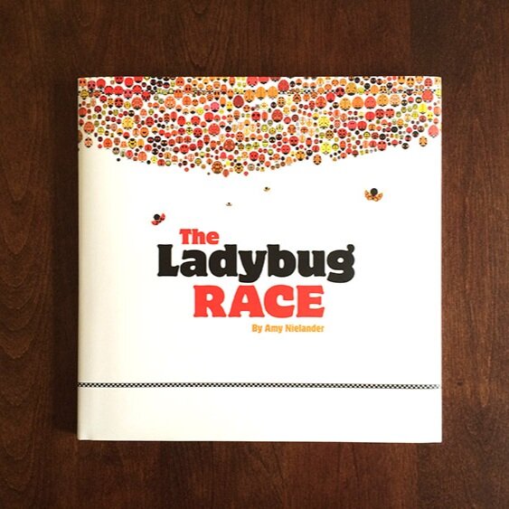 THE-LADYBUG-RACE1_web.jpg
