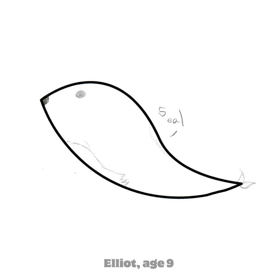 SLIDSHOW-SHAPE-1_ELLIOT.jpg