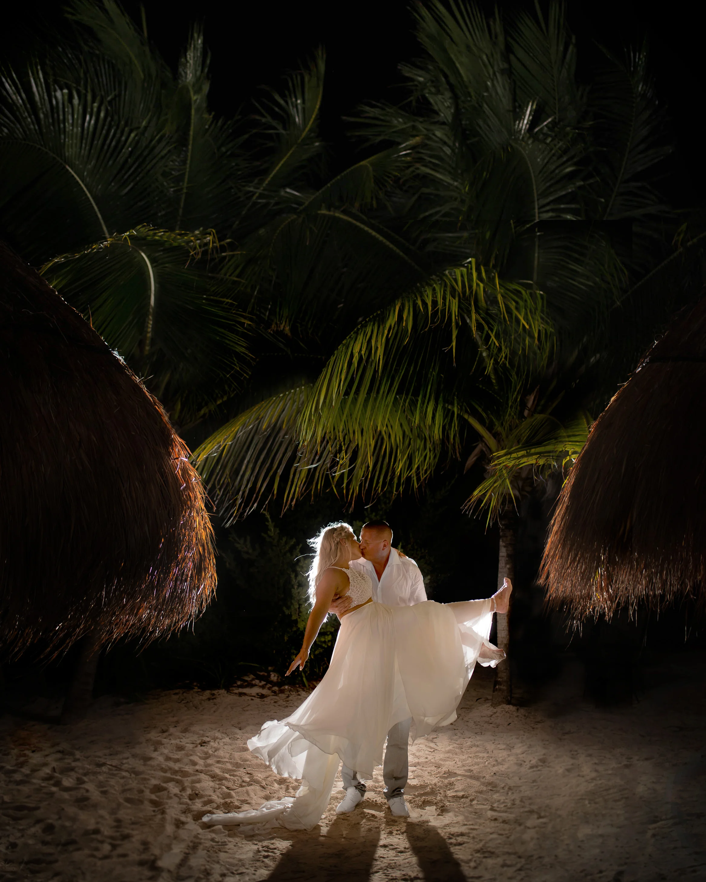 NIGHT PALM WEB.jpg