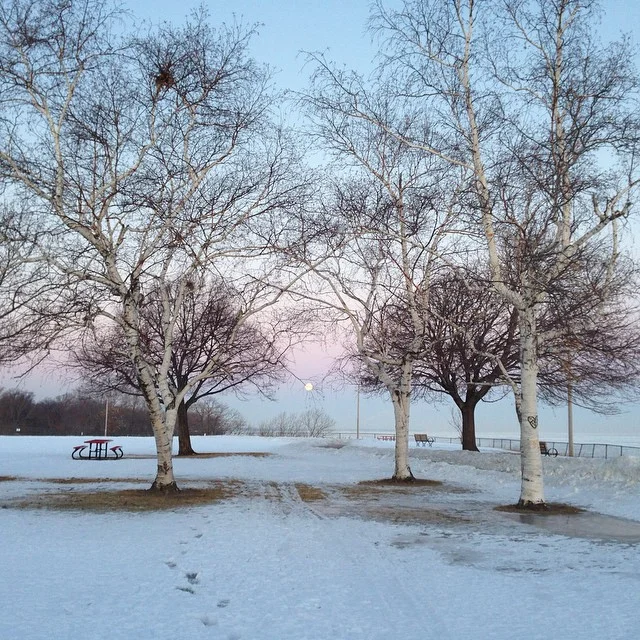 Another from this morning