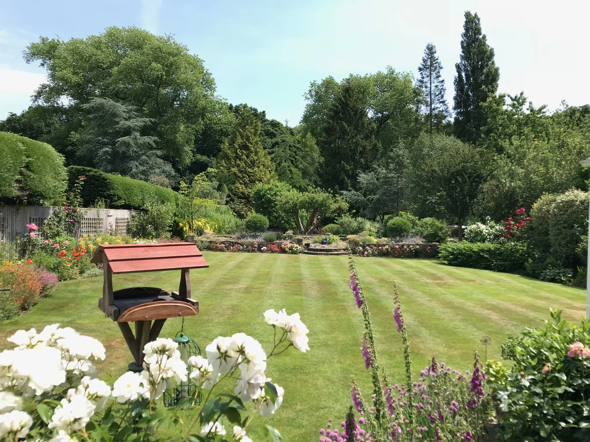 gardening-services-just-gardens-sus