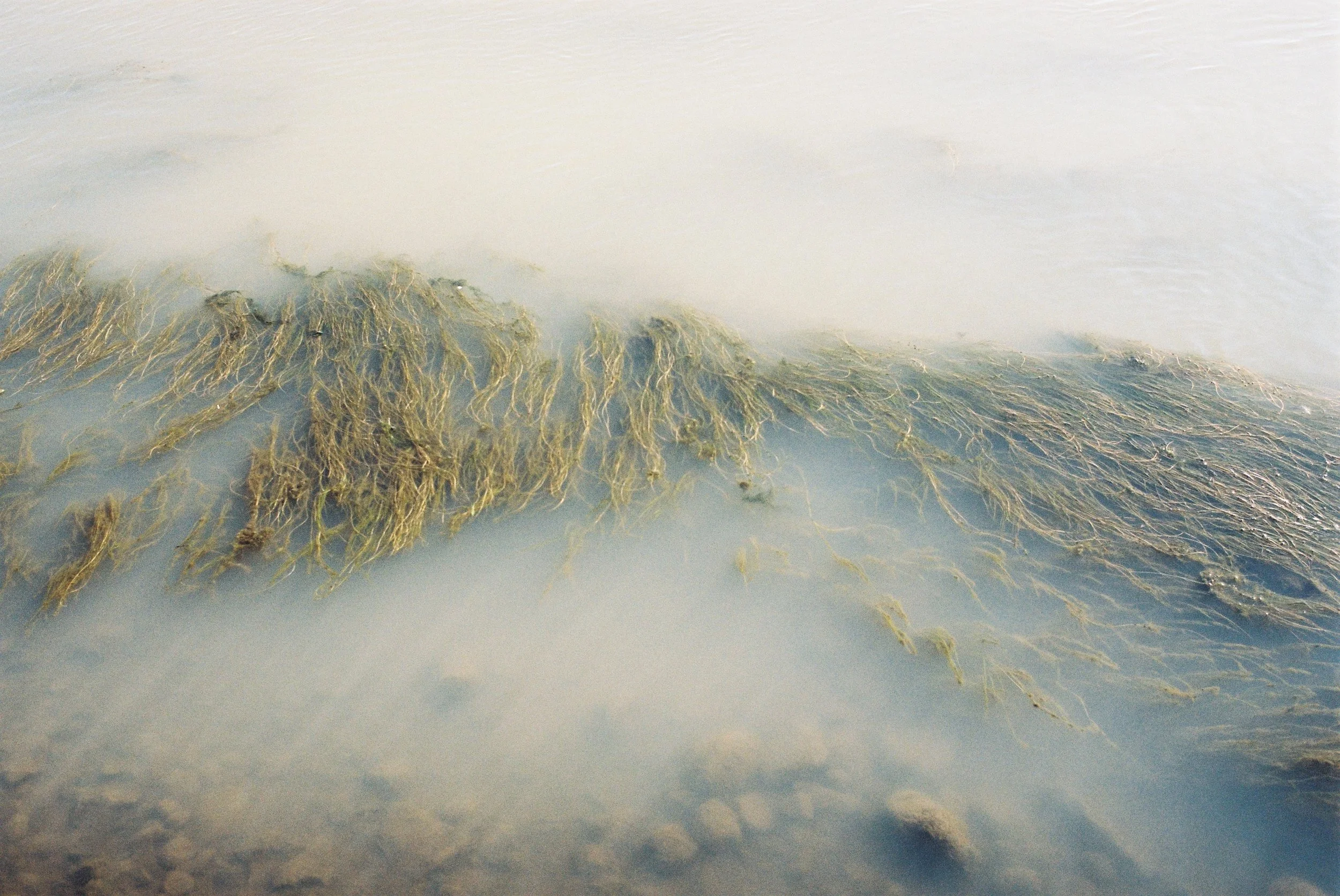 Nikon FG20 > Analogue film by Signe Emdal