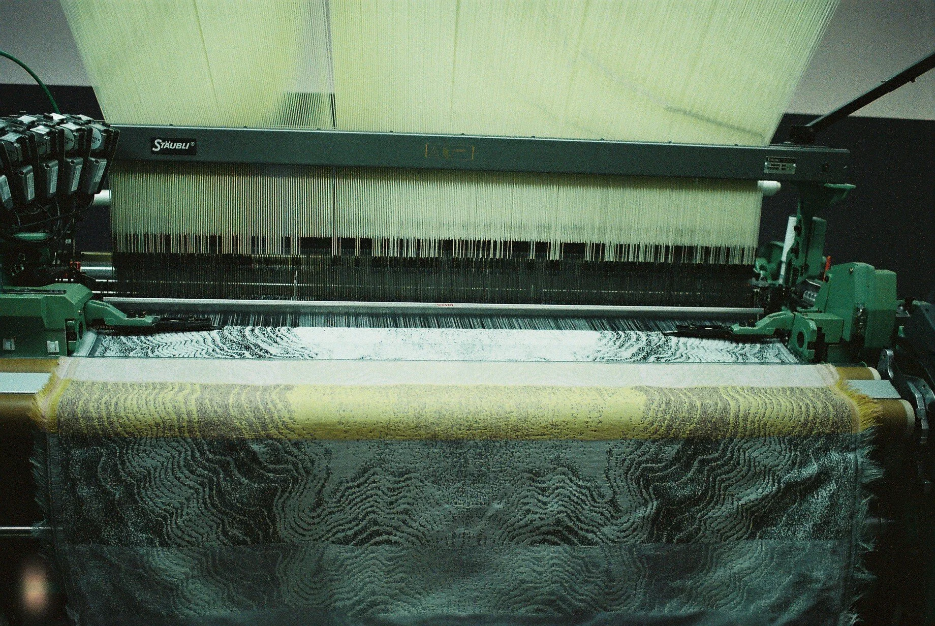F1000006.JPG