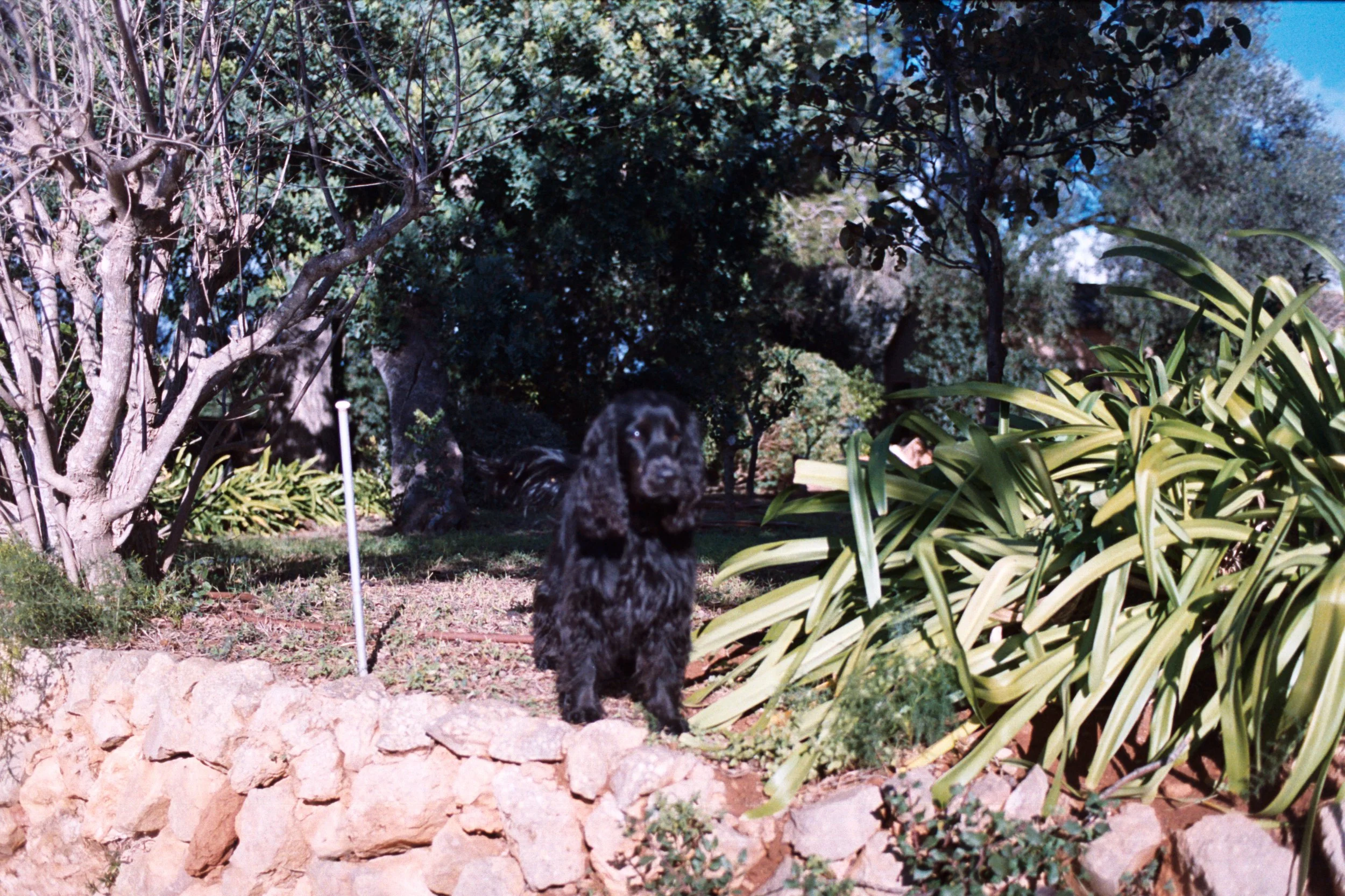 AA028.jpg