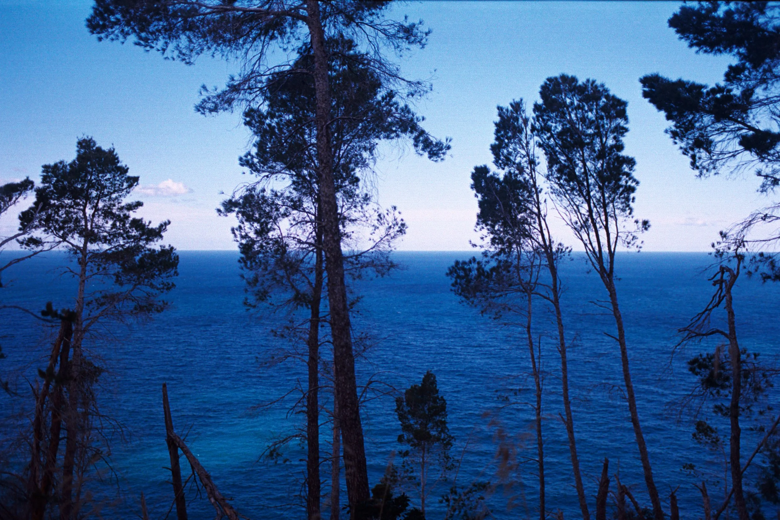 AA033 (1).jpg