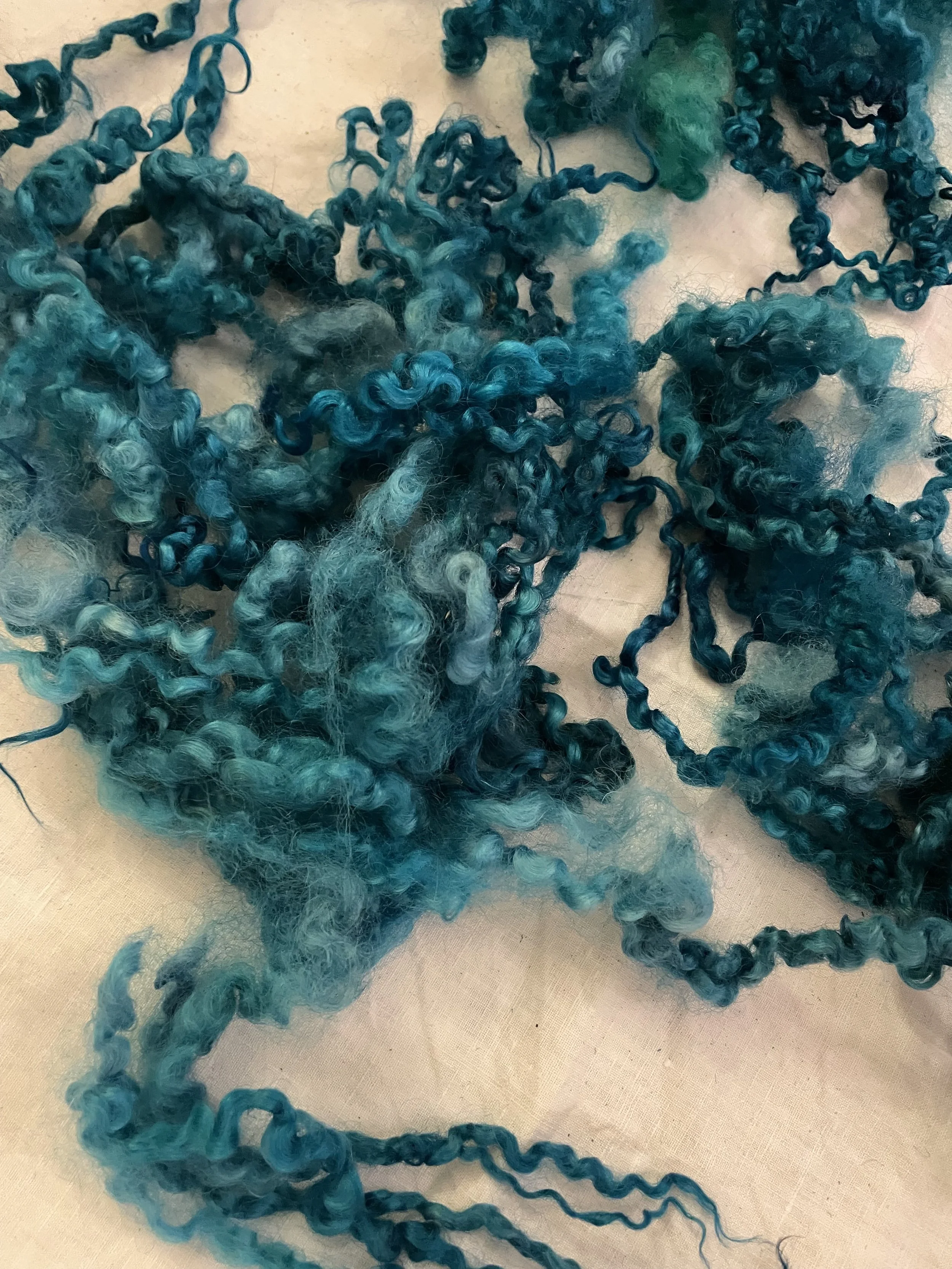 Billede 24.01.2025, 18.12.32.jpg