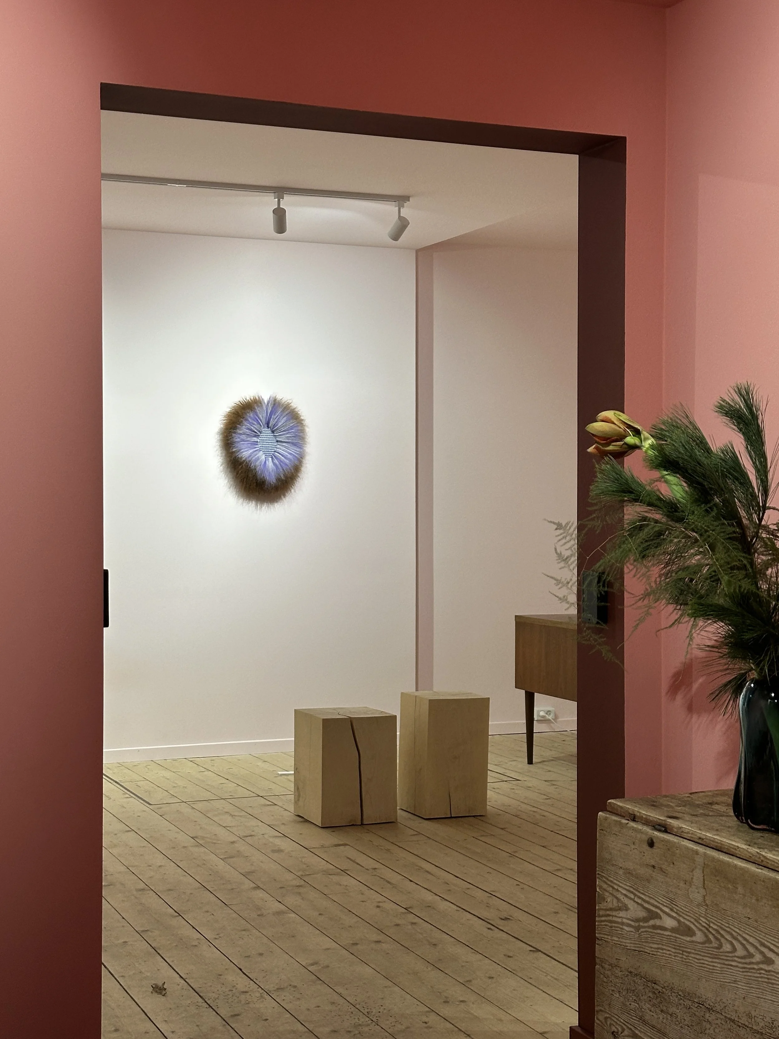 Billede 15.11.2025, 16.51.02.jpg