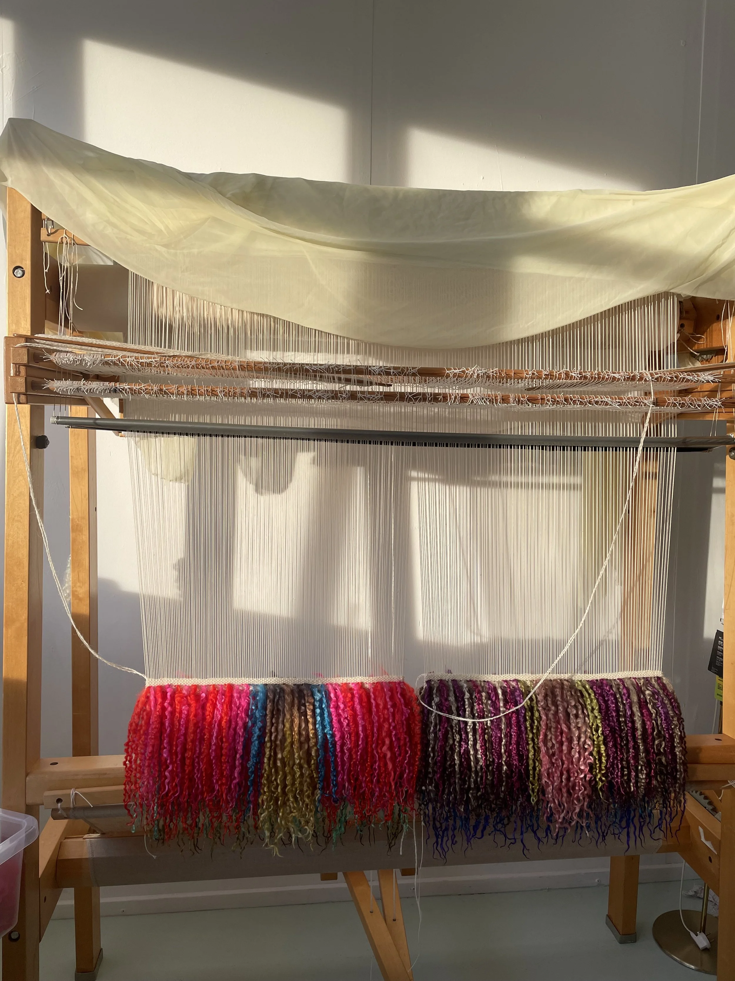 Billede 11.01.2026, 14.25.51.jpg