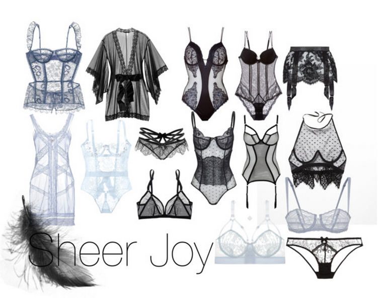 Barely There : Wear Sheer Lingerie