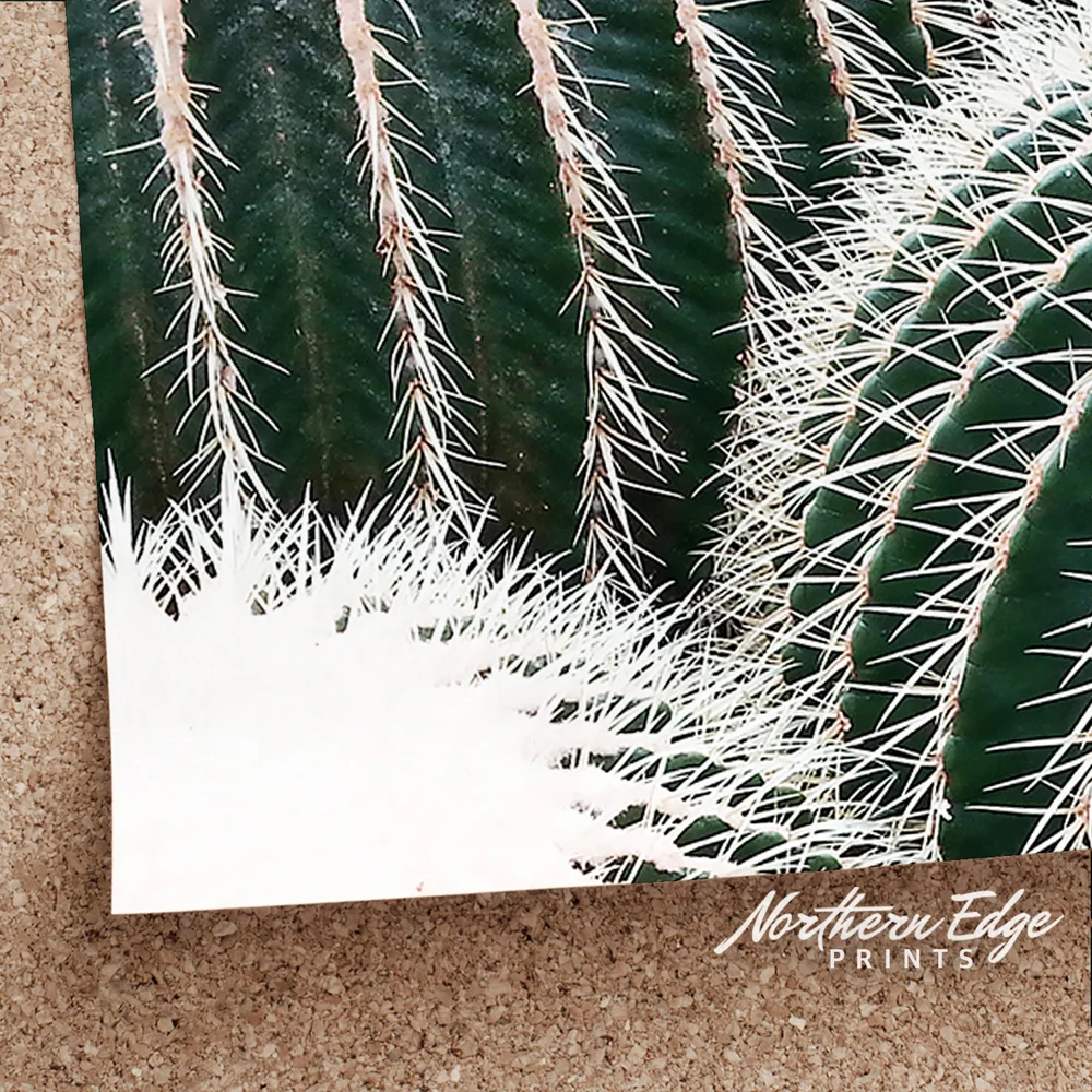 cactus cartier Cartier Cactus Wedding Band