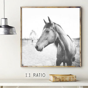 Black and White Poster Horse Portrait Print Horse Printable Art Horse Wall Art Digital Printable Farmhouse Wall Decor