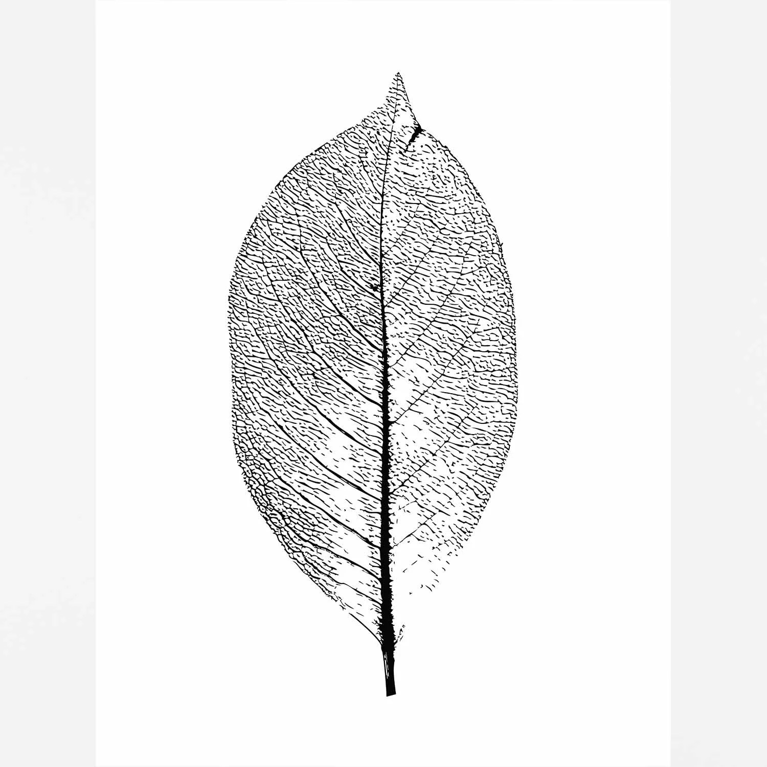 leaf-rustic-woodland-wall-prints.jpg