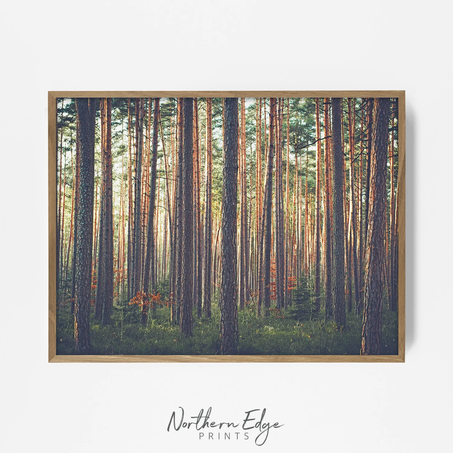 ceader-forest-printable-art.jpg