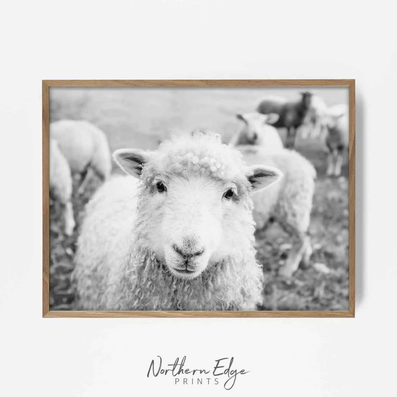 bw-sheep-farm-printable-print.jpg