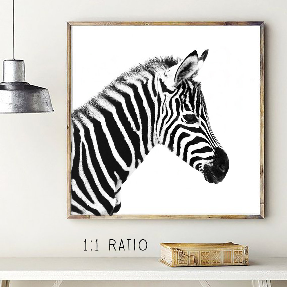 Northern Edge Prints Affordable Home Wall Decor For Every Unique Style - Zebra Head Wall Decor Dunelm Northern Edge Prints Affordable Home Wall Decor For Every Unique Style - Zebra Head Wall Decor Dunelm