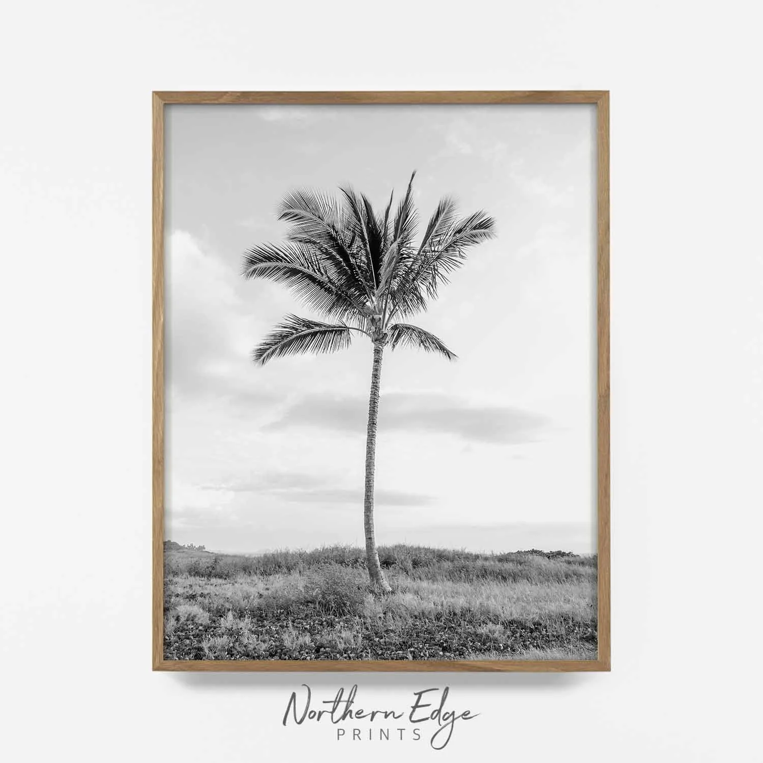 palm-tree-wall-print.jpg