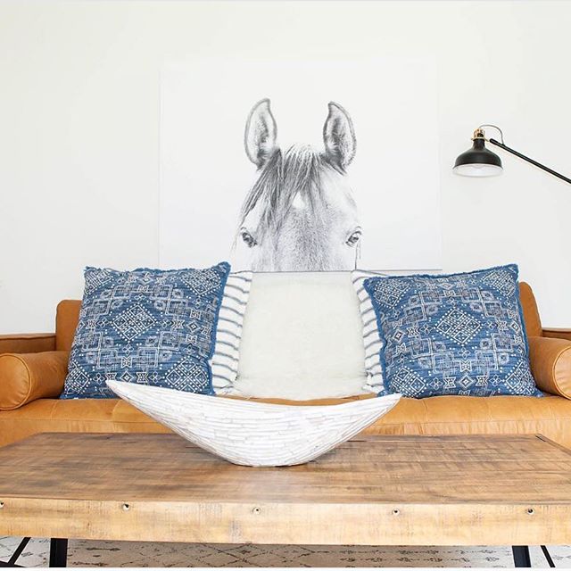 Love everything about this recent reno by Lucy! Thanks for sharing your beautiful decor style @lucyjohome .
.
.
.
. 
#horseprint #boho #triballuxe #coastal #luxe #homedecor #blackandwhite #interiordecorating #interiors #interiorstylist #interiordecor