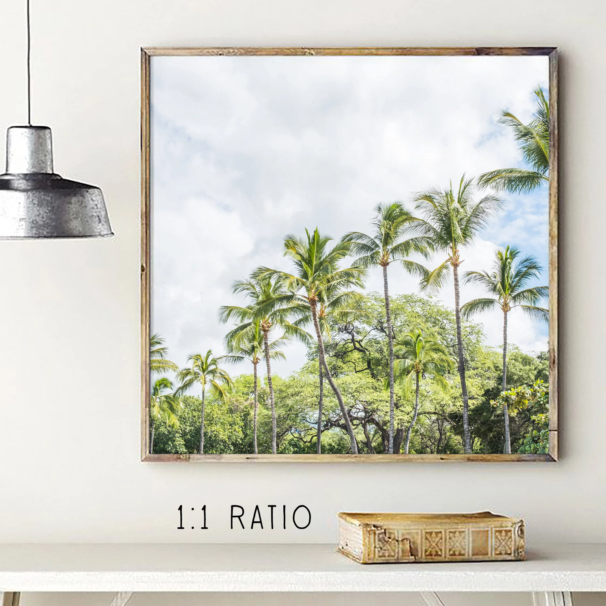 square-palmtrees.jpg