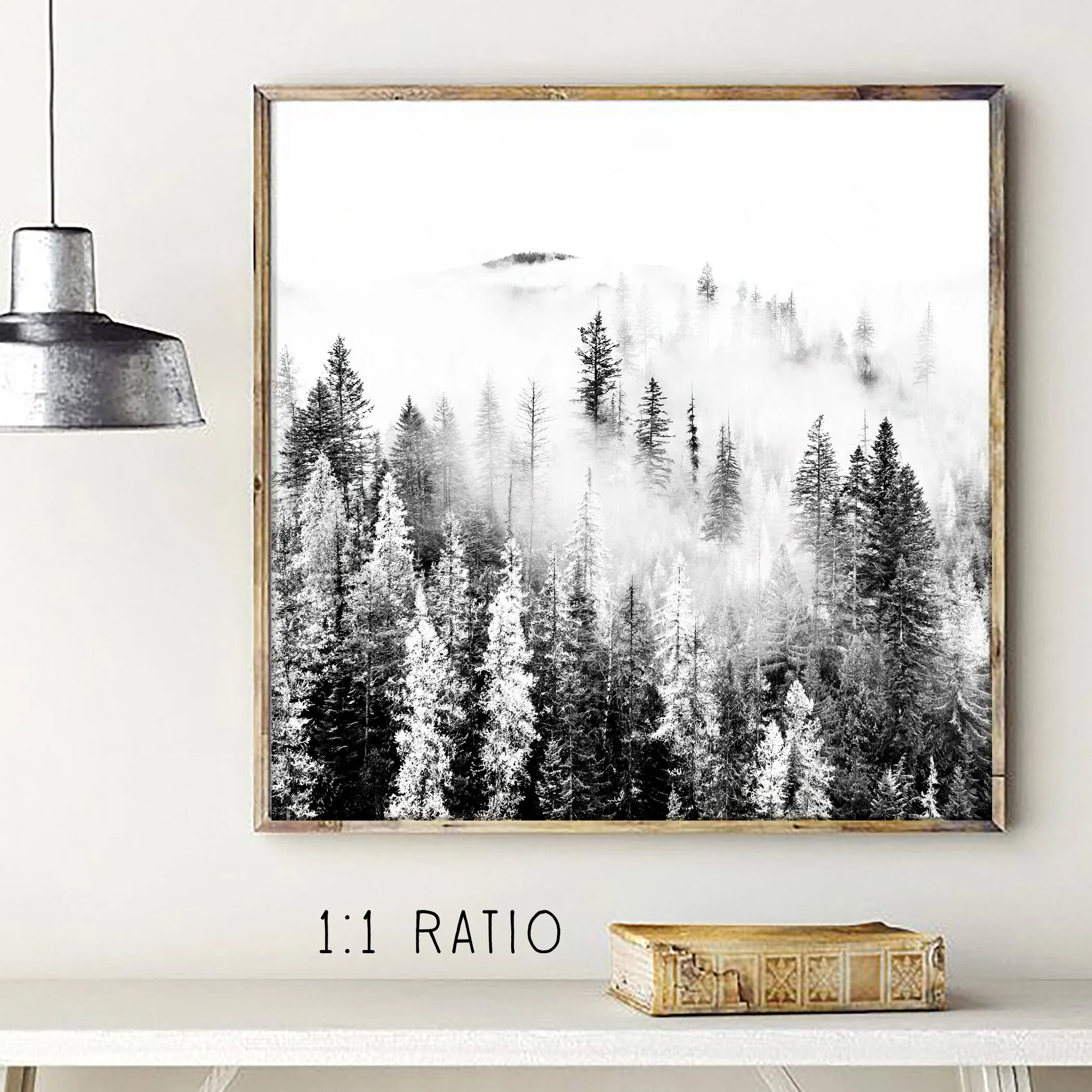 bw-pine-forest-fog-print.jpg