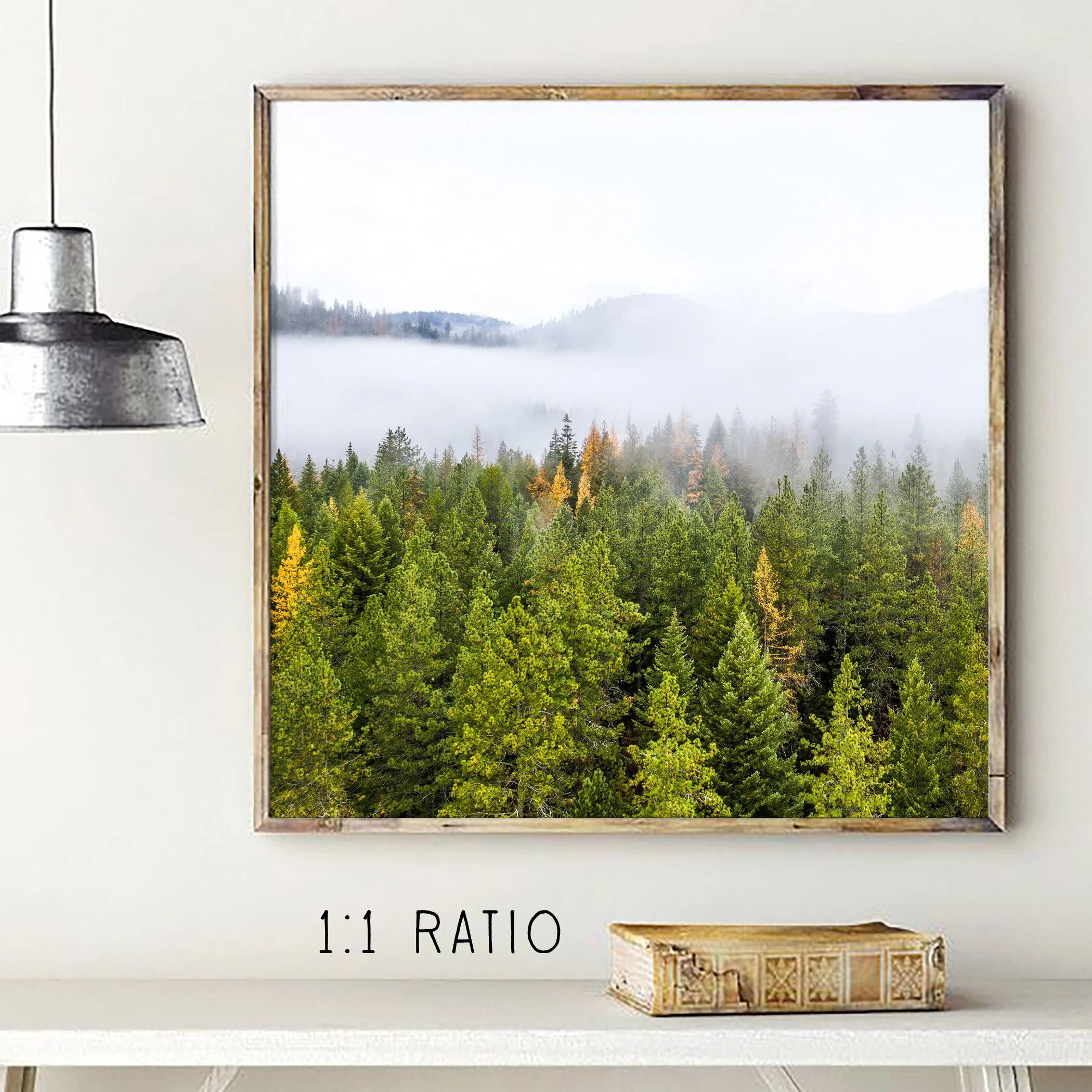 tree-top-fog-wall-print.jpg