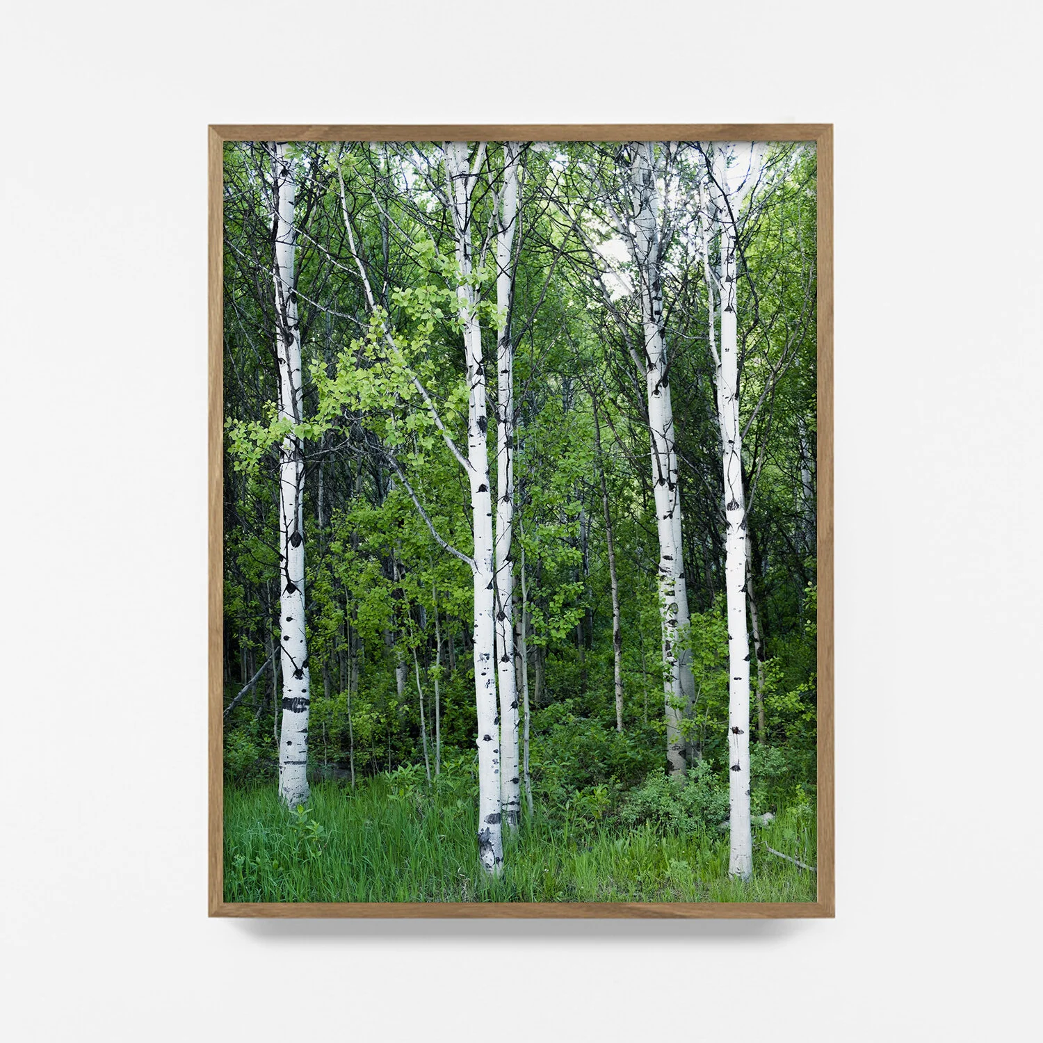 aspen-colorado-wall-print.jpg
