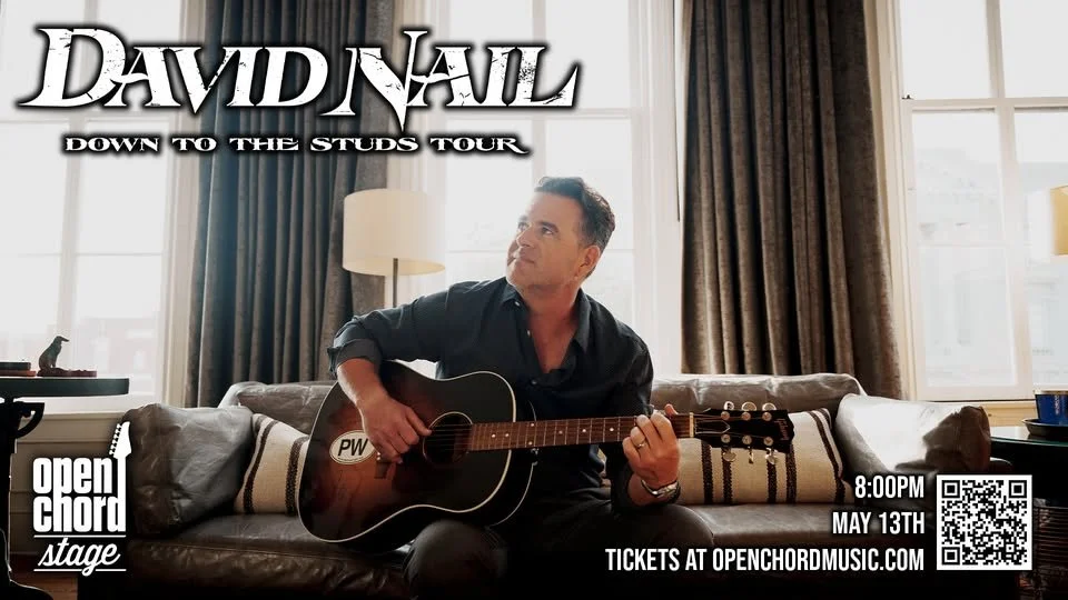 David Nail: Down To The Studs