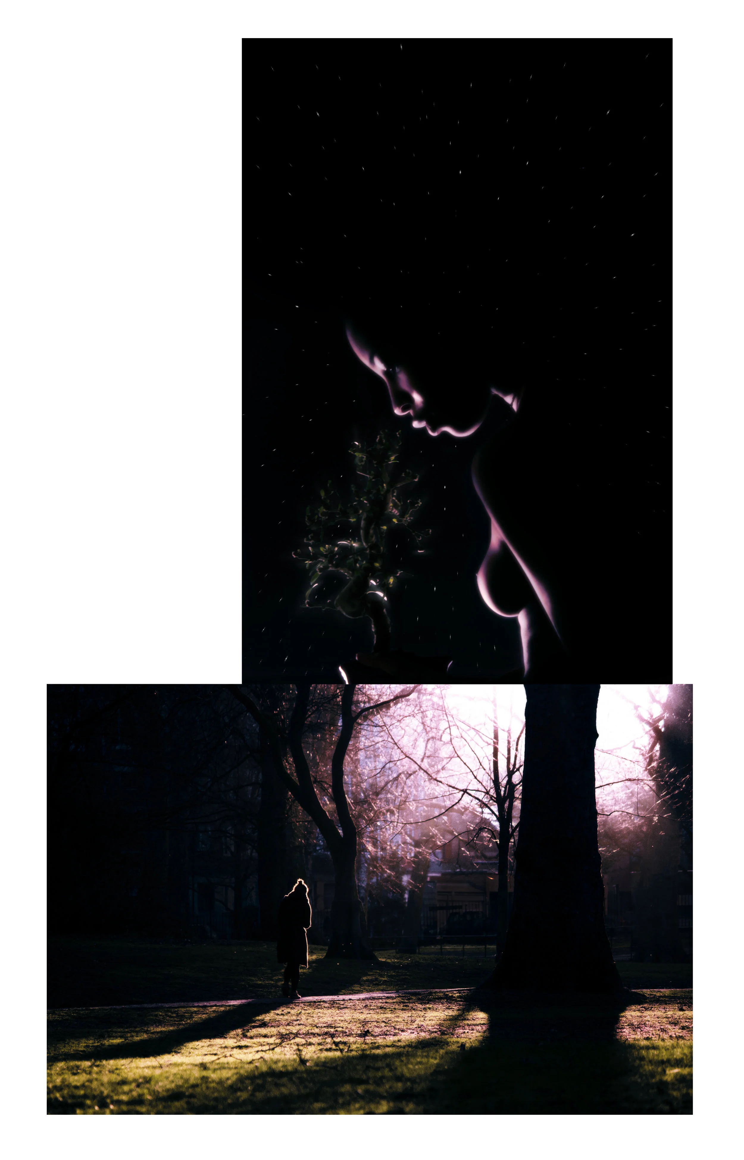 battersea park london 201314 ret final3 jpeg aplati copy site .jpg