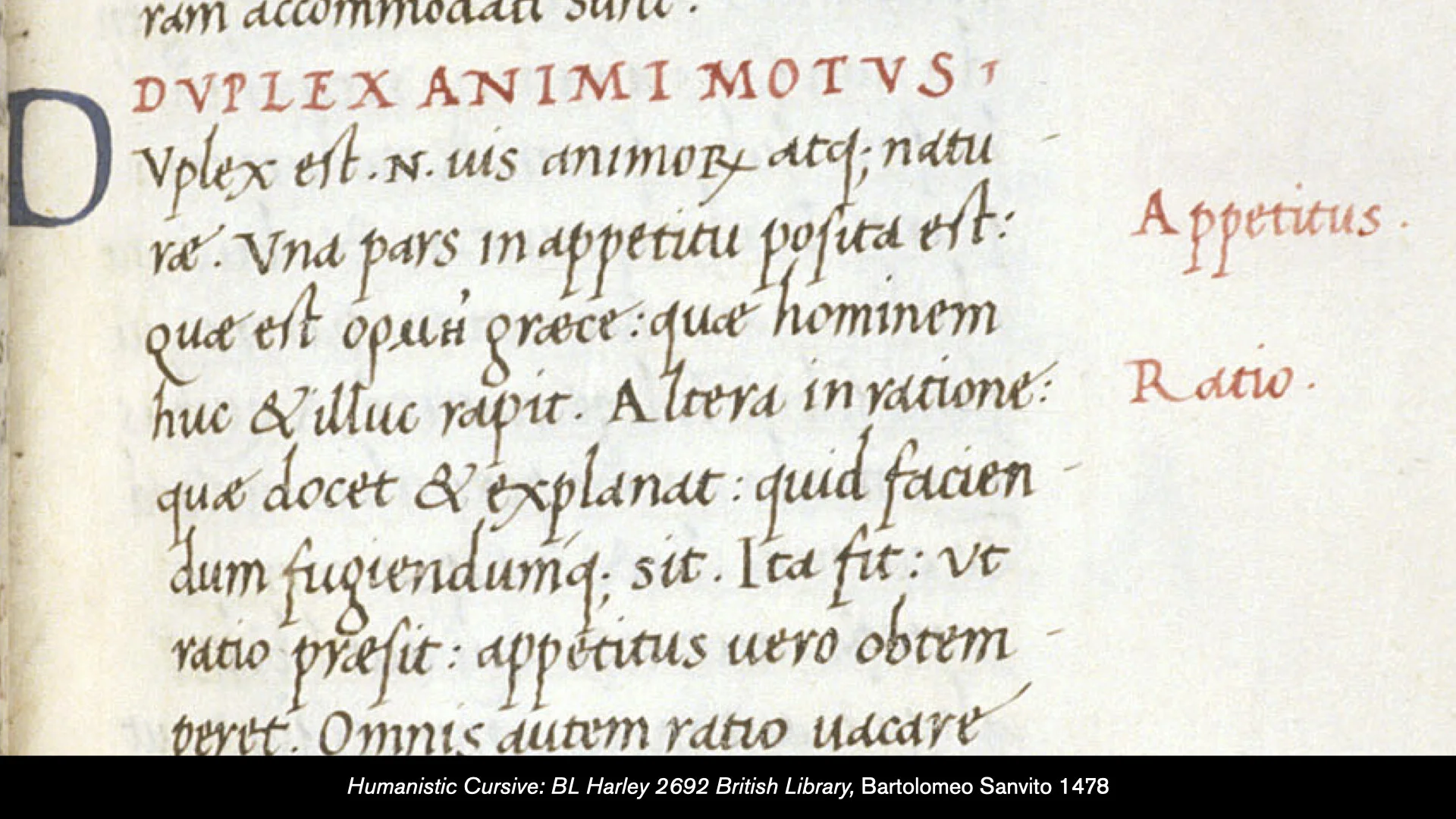 History of the Latin Alphabet Part 1.050.jpeg